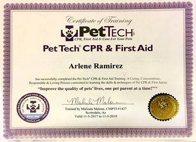 pet-tech-cpr-first-aid-cert